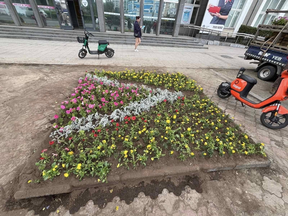 Сүхбаатар дүүрэг: Хун цэцэг тарилтын ажил хийгдэв