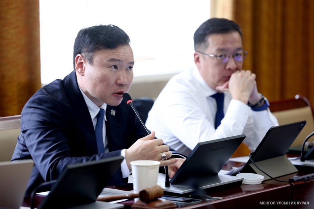 Гадаадад ажиллаж, амьдарч байгаа иргэдийн эрхийг хамгаалах чиглэлээр шийдвэр гаргав