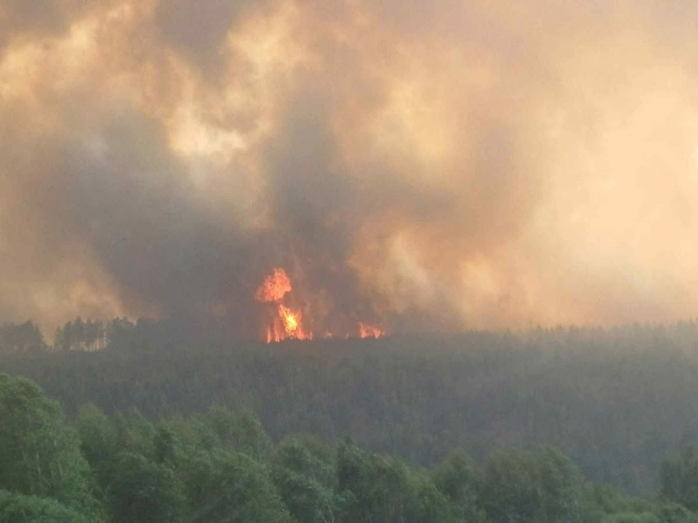 Тужийн нарс шатаж дуусах нь!!!