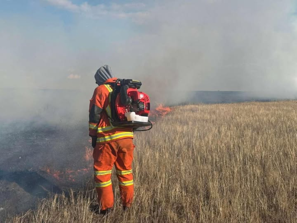 ОБЕГ: Хэнтий, Сүхбаатар аймагт гарсан 3 хээрийн түймрийг унтраахаар ажиллаж байна