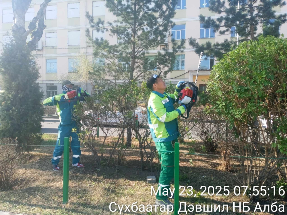 Сүхбаатар дүүрэг: Улиасны гувар цэвэрлэгээ хийгдлээ